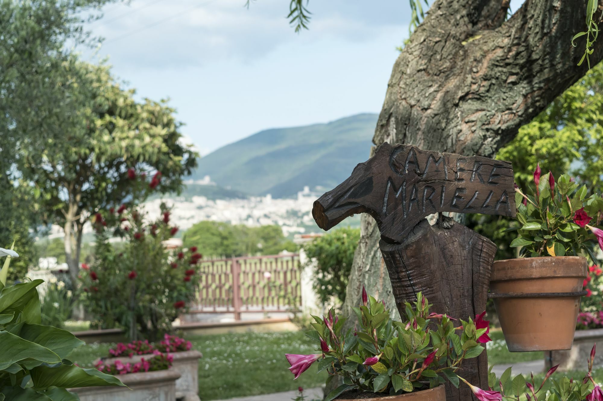 Camere Mariella Assisi Exterior photo